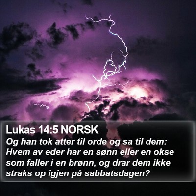 Lukas 14:5 NORSK Bible Verse Image