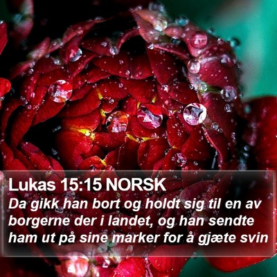 Lukas 15:15 NORSK Bible Verse Image