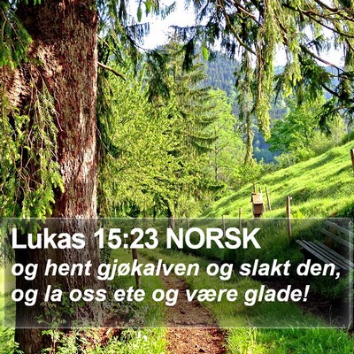 Lukas 15:23 NORSK Bible Verse Image