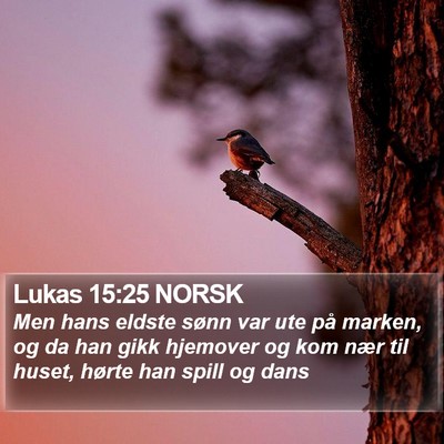 Lukas 15:25 NORSK Bible Verse Image