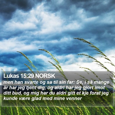 Lukas 15:29 NORSK Bible Verse Image