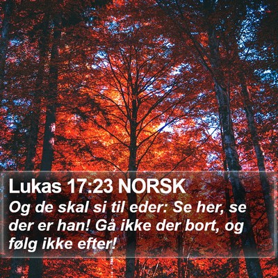 Lukas 17:23 NORSK Bible Verse Image