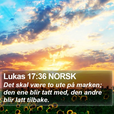 Lukas 17:36 NORSK Bible Verse Image