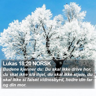 Lukas 18:20 NORSK Bible Verse Image