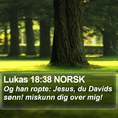 Lukas 18:38 NORSK Bible Verse Image