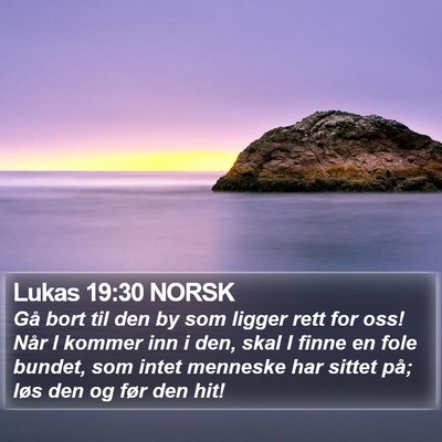 Lukas 19:30 NORSK Bible Verse Image