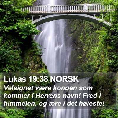 Lukas 19:38 NORSK Bible Verse Image