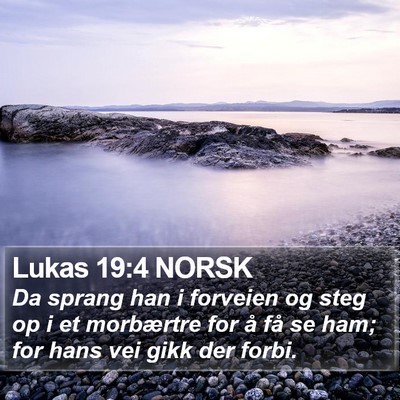 Lukas 19:4 NORSK Bible Verse Image