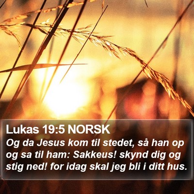 Lukas 19:5 NORSK Bible Verse Image