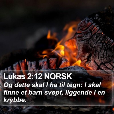 Lukas 2:12 NORSK Bible Verse Image