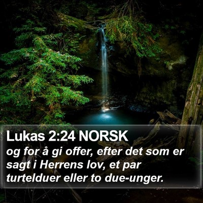 Lukas 2:24 NORSK Bible Verse Image