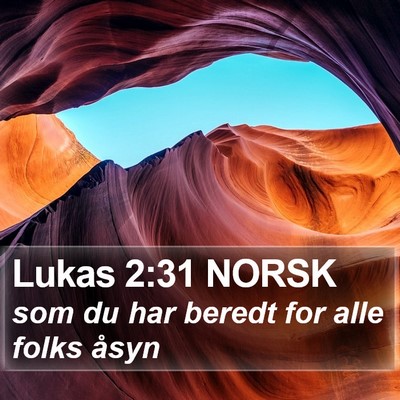 Lukas 2:31 NORSK Bible Verse Image