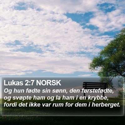 Lukas 2:7 NORSK Bible Verse Image
