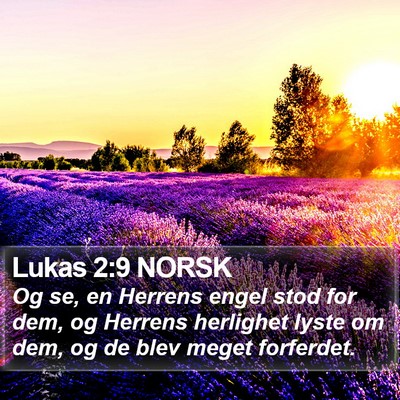 Lukas 2:9 NORSK Bible Verse Image