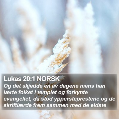 Lukas 20:1 NORSK Bible Verse Image