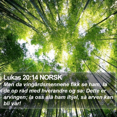 Lukas 20:14 NORSK Bible Verse Image