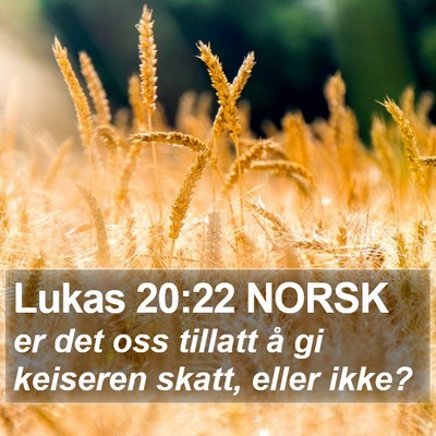 Lukas 20:22 NORSK Bible Verse Image