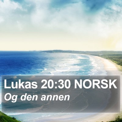 Lukas 20:30 NORSK Bible Verse Image