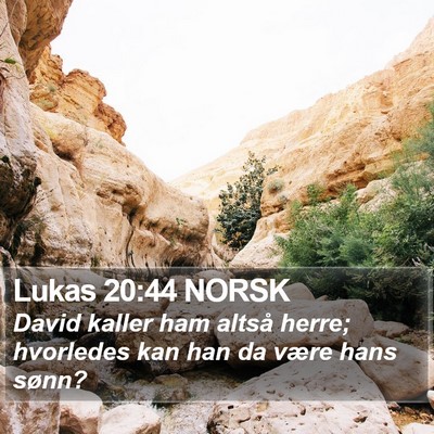 Lukas 20:44 NORSK Bible Verse Image