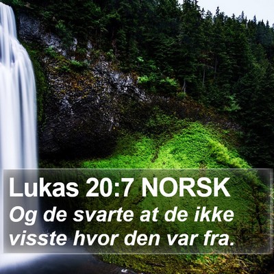 Lukas 20:7 NORSK Bible Verse Image