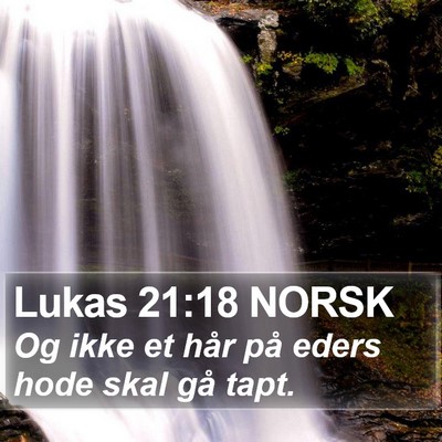 Lukas 21:18 NORSK Bible Verse Image