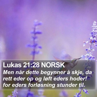 Lukas 21:28 NORSK Bible Verse Image