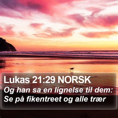 Lukas 21:29 NORSK Bible Verse Image