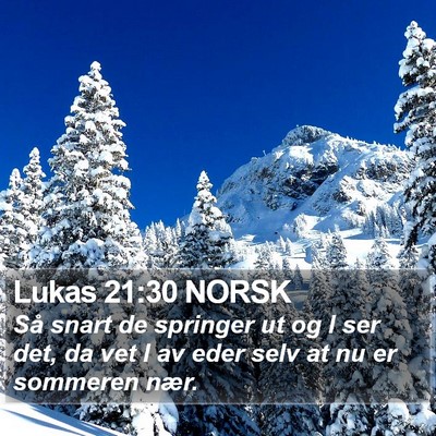 Lukas 21:30 NORSK Bible Verse Image