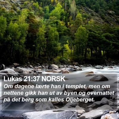 Lukas 21:37 NORSK Bible Verse Image