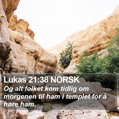 Lukas 21:38 NORSK Bible Verse Image