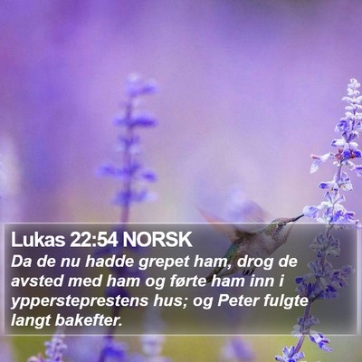 Lukas 22:54 NORSK Bible Verse Image