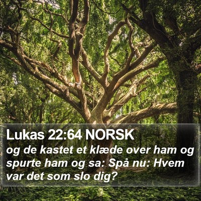 Lukas 22:64 NORSK Bible Verse Image