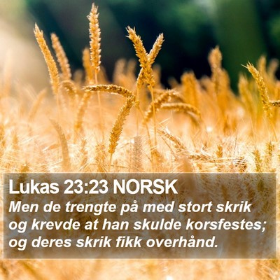 Lukas 23:23 NORSK Bible Verse Image