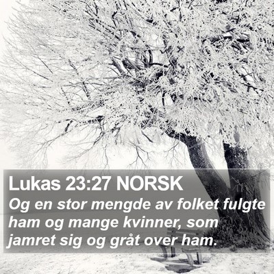 Lukas 23:27 NORSK Bible Verse Image