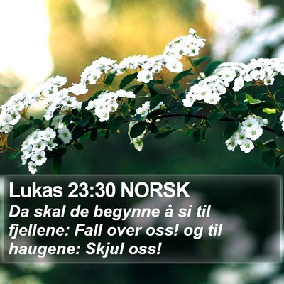 Lukas 23:30 NORSK Bible Verse Image