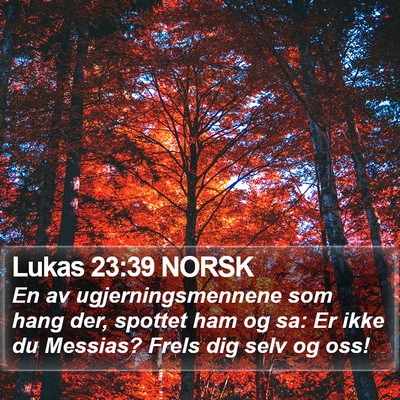 Lukas 23:39 NORSK Bible Verse Image