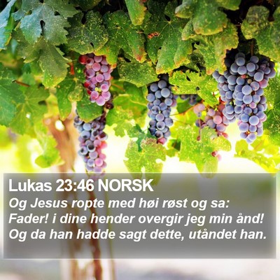Lukas 23:46 NORSK Bible Verse Image