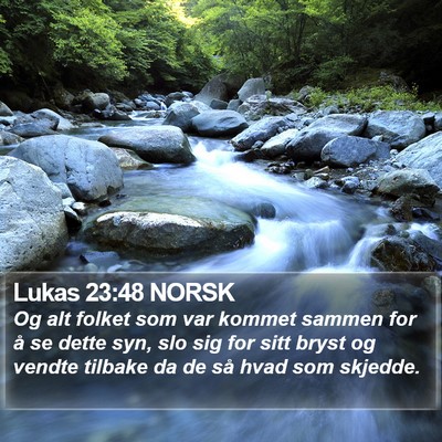 Lukas 23:48 NORSK Bible Verse Image