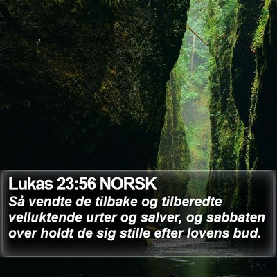 Lukas 23:56 NORSK Bible Verse Image