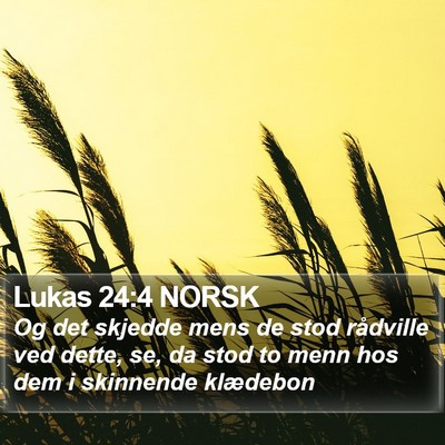 Lukas 24:4 NORSK Bible Verse Image