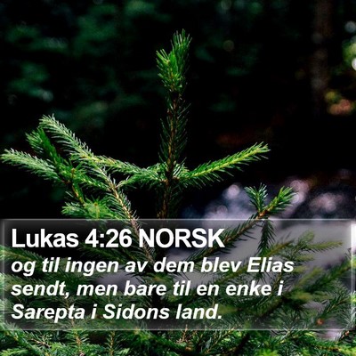 Lukas 4:26 NORSK Bible Verse Image
