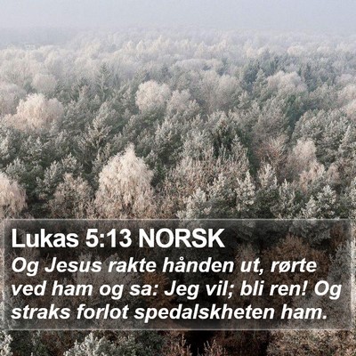 Lukas 5:13 NORSK Bible Verse Image