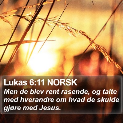 Lukas 6:11 NORSK Bible Verse Image