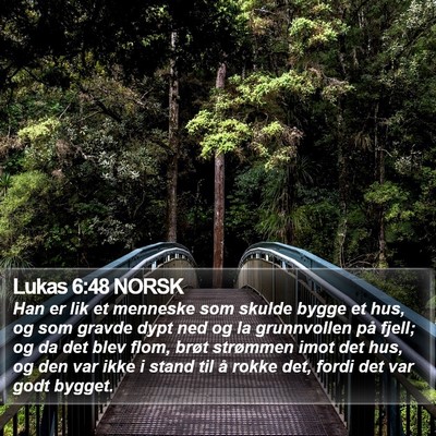 Lukas 6:48 NORSK Bible Verse Image