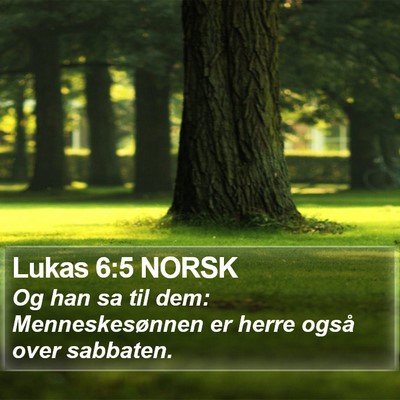 Lukas 6:5 NORSK Bible Verse Image