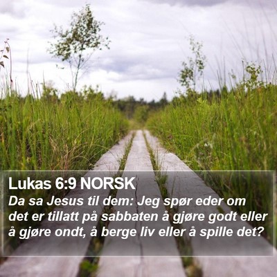 Lukas 6:9 NORSK Bible Verse Image