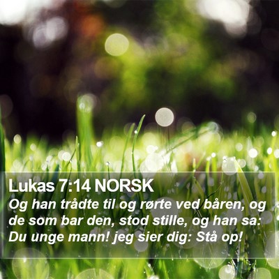 Lukas 7:14 NORSK Bible Verse Image