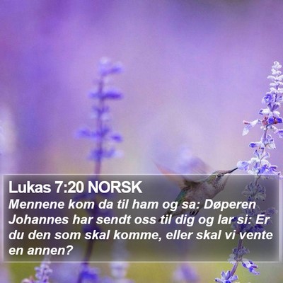 Lukas 7:20 NORSK Bible Verse Image
