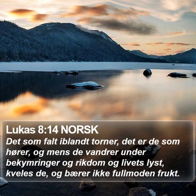 Lukas 8:14 NORSK Bible Verse Image