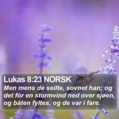 Lukas 8:23 NORSK Bible Verse Image